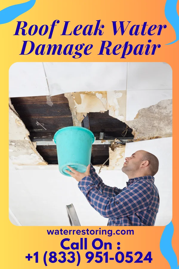 Roof Leak Water Damage Repair in Twin Lakes, IA